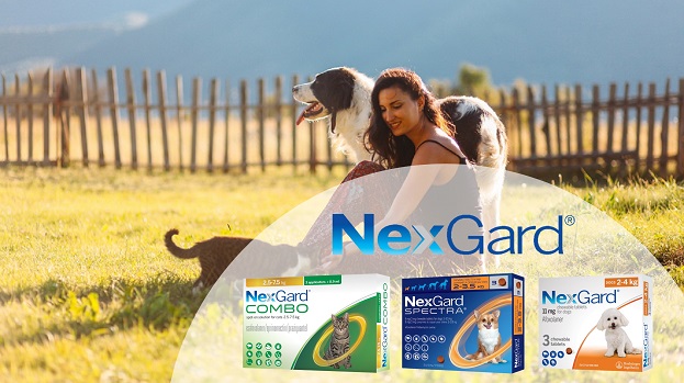 NexGard Product Range